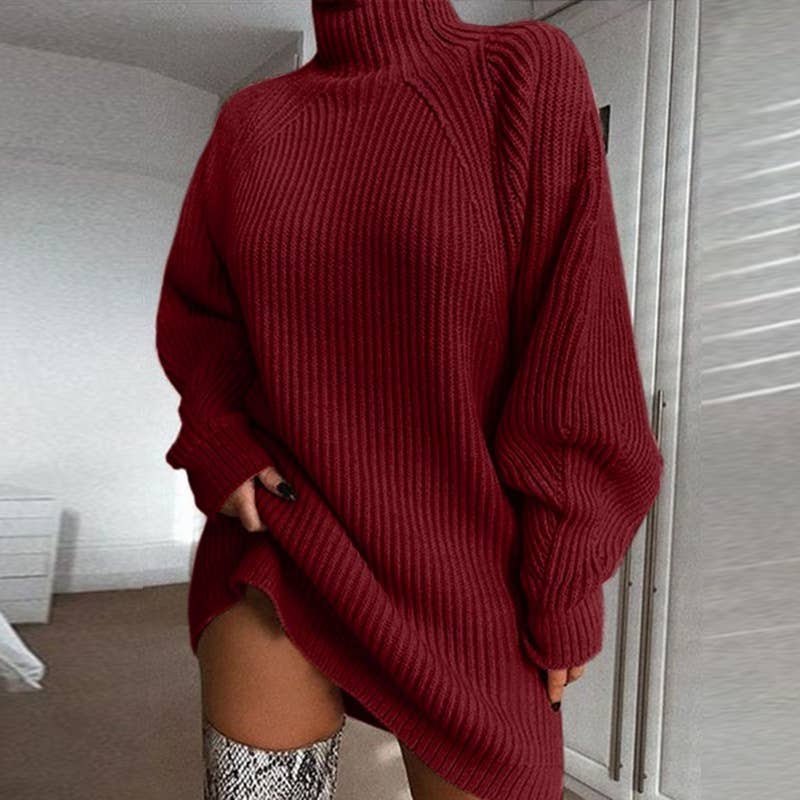 Cozy Turtleneck Sweater Dress - Homeward Bound Goods
