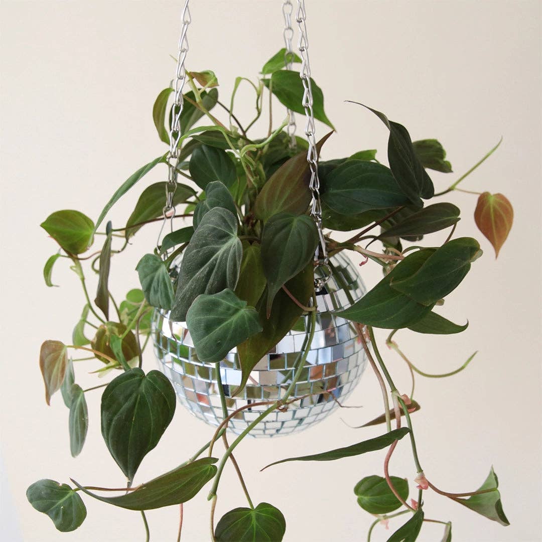 Disco Hanging Planter - Homeward Bound Goods