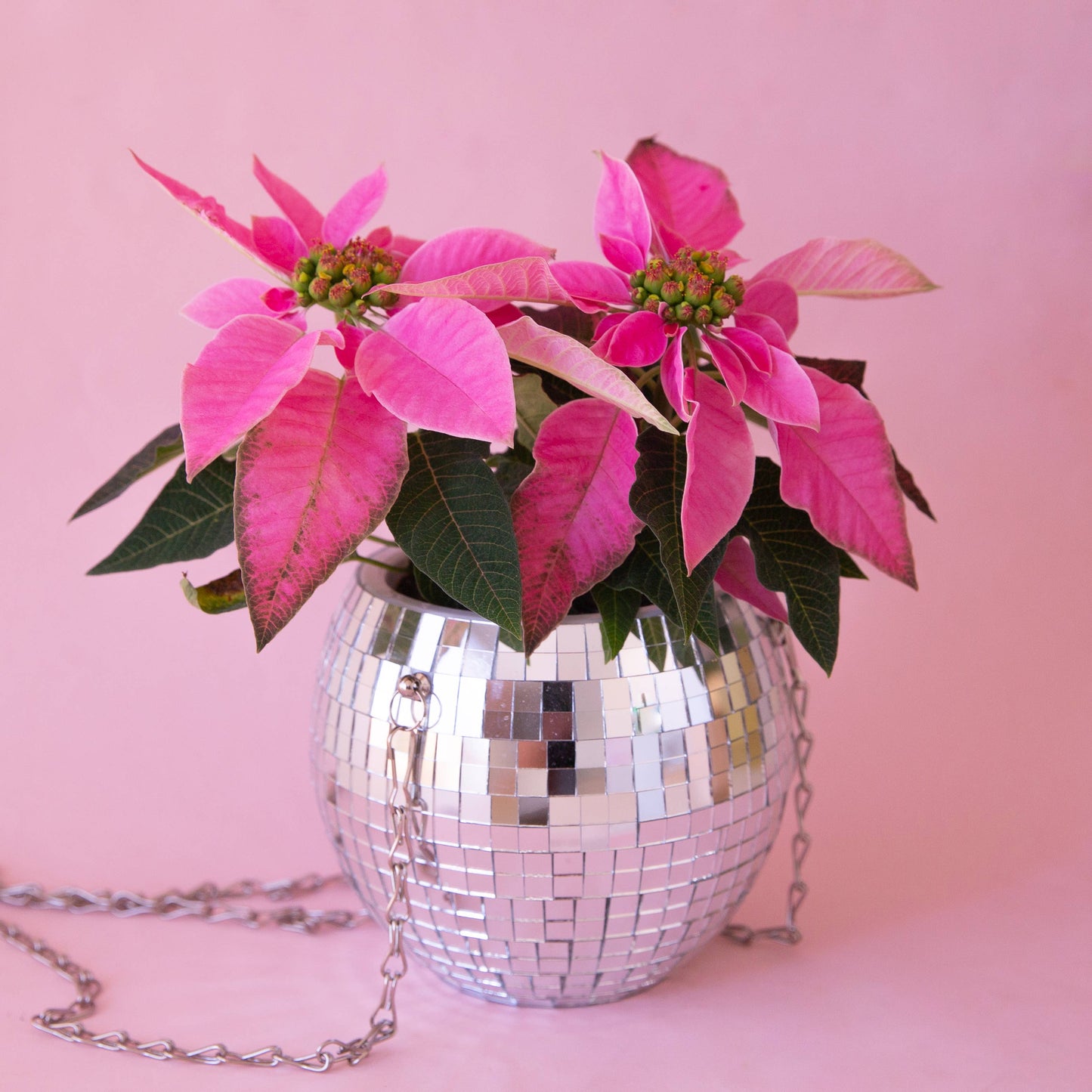 Disco Hanging Planter - Homeward Bound Goods